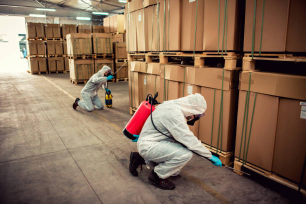 Best Pest Prevention Services  in Vineyards, FL