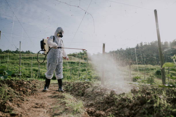 Best Wildlife Control Services  in Vineyards, FL