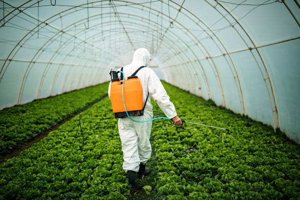 Best Ant Control Services  in Vineyards, FL