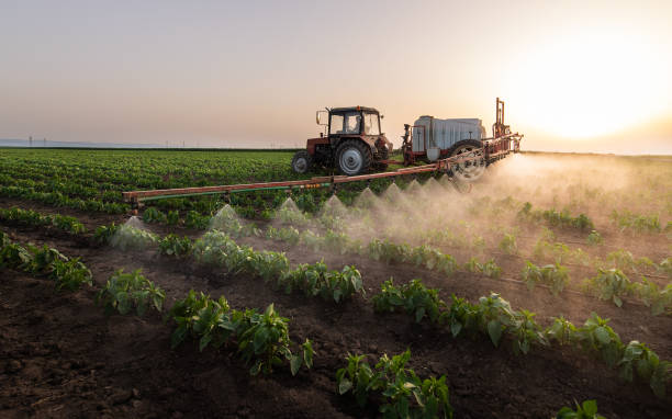 Best Affordable Pest Control Services  in Vineyards, FL
