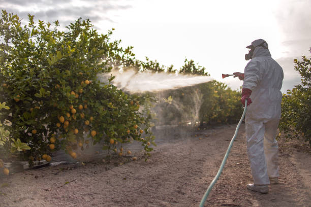 Best Affordable Pest Control Services  in Vineyards, FL