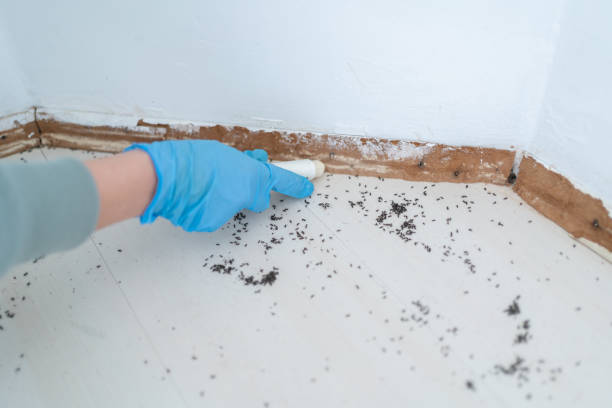 Best Best Pest Control Companies  in Vineyards, FL